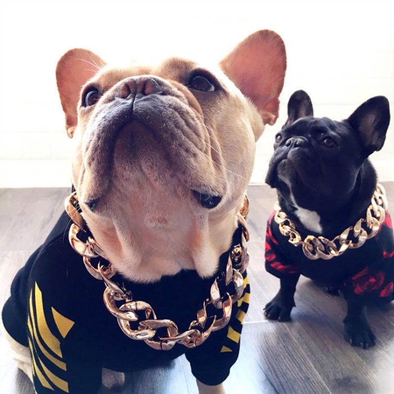 BowLift | Collar de Cadena Gruesa de Oro para Mascotas