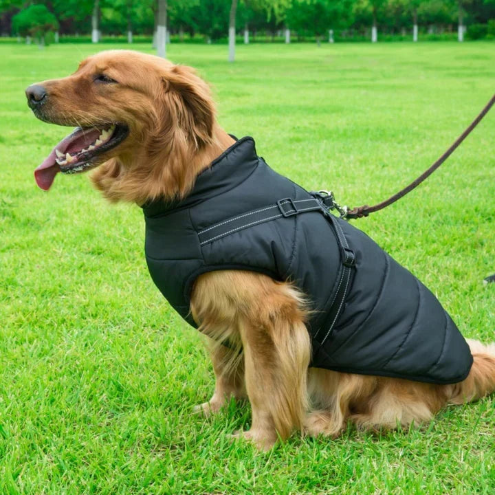 PawGuard - Chaqueta para Perros Protección Completa del Cuerpo con Arnés Incorporado para Comodidad en Todas las Condiciones Climáticas