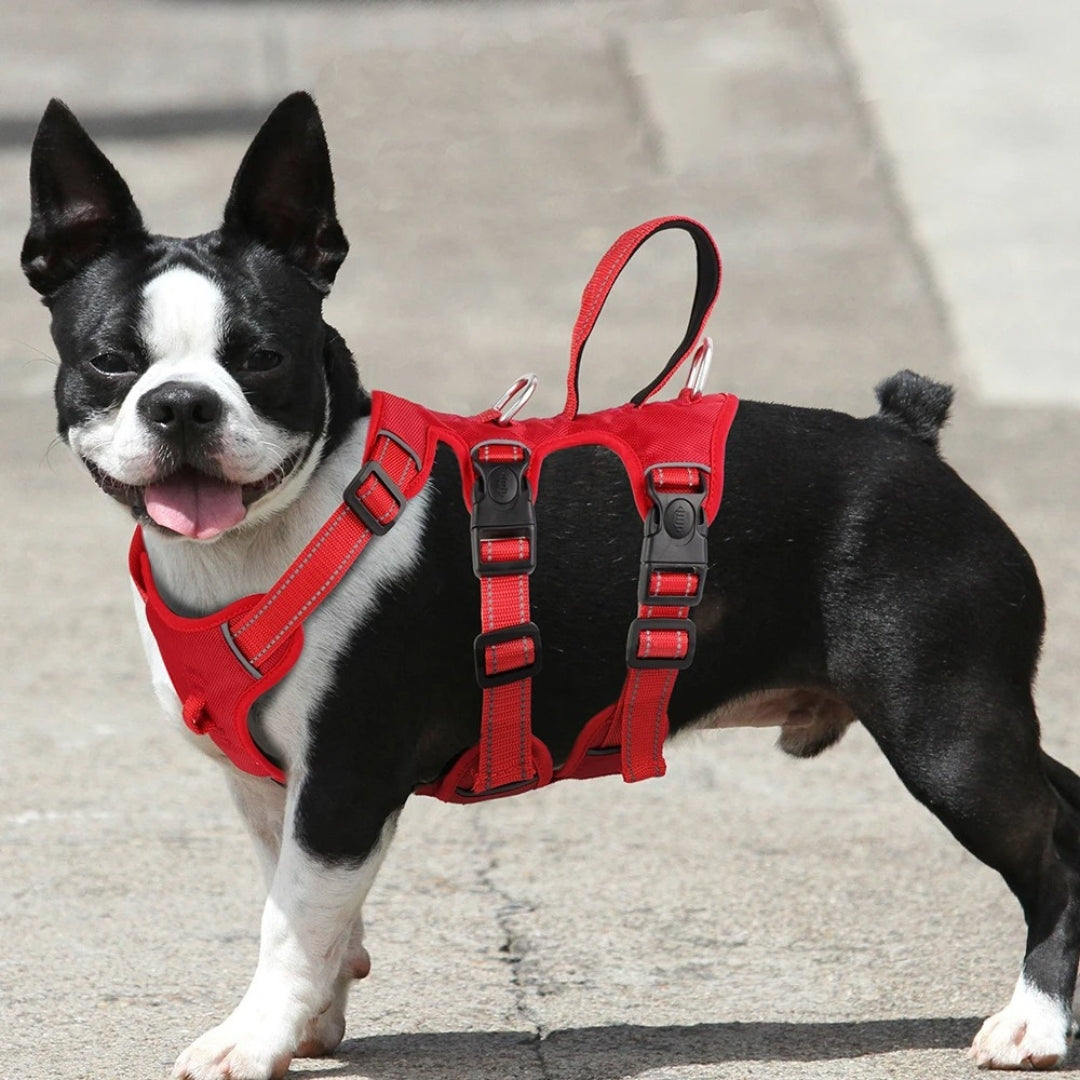 Arnés Antideslizante para Perros con 3 Puntos de Sujeción Reflectantes