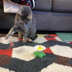 KatzenFit™ - Juguete Interactivo para Gatos | 1+1 GRATIS