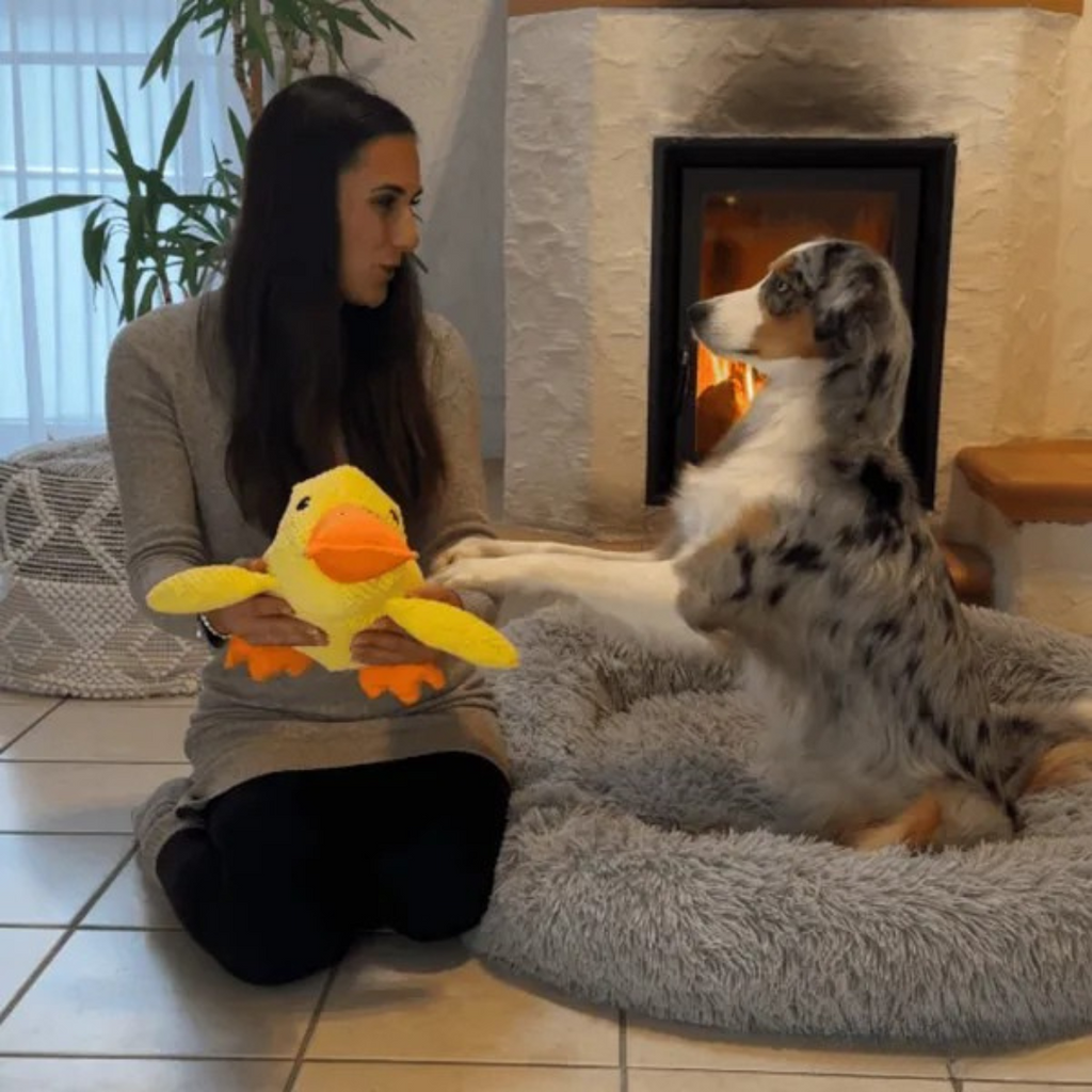 Juguete de peluche Pato para Perros