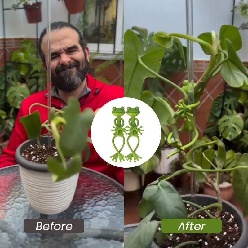 FrogglePods – Haz que las plantas prosperen