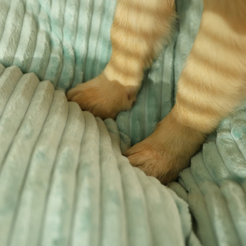 Cojín Ortopédico para Perros con Funda Desmontable