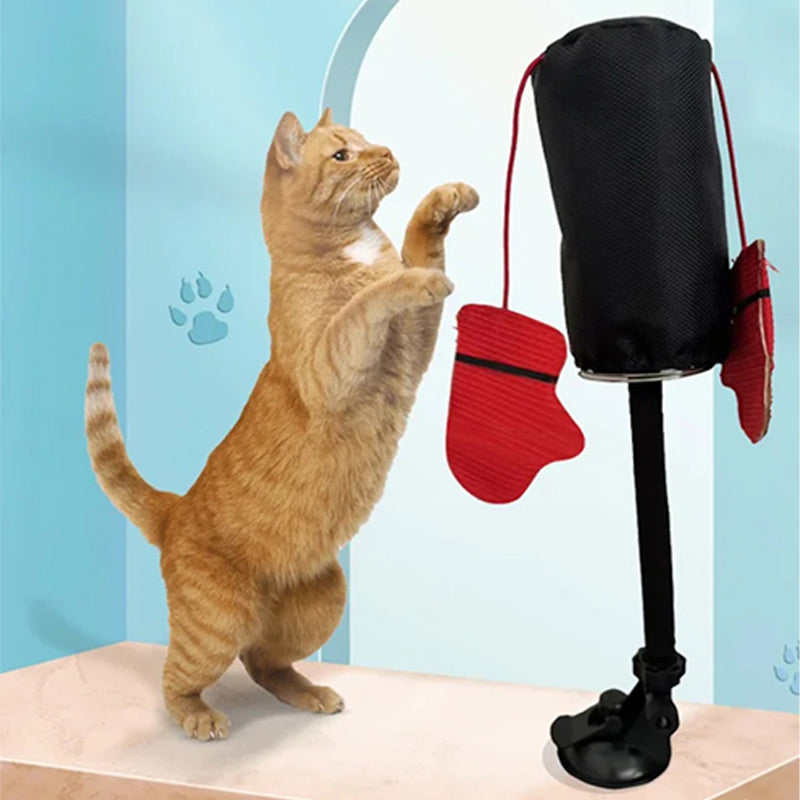CatFury – Desata la salvaje diversión