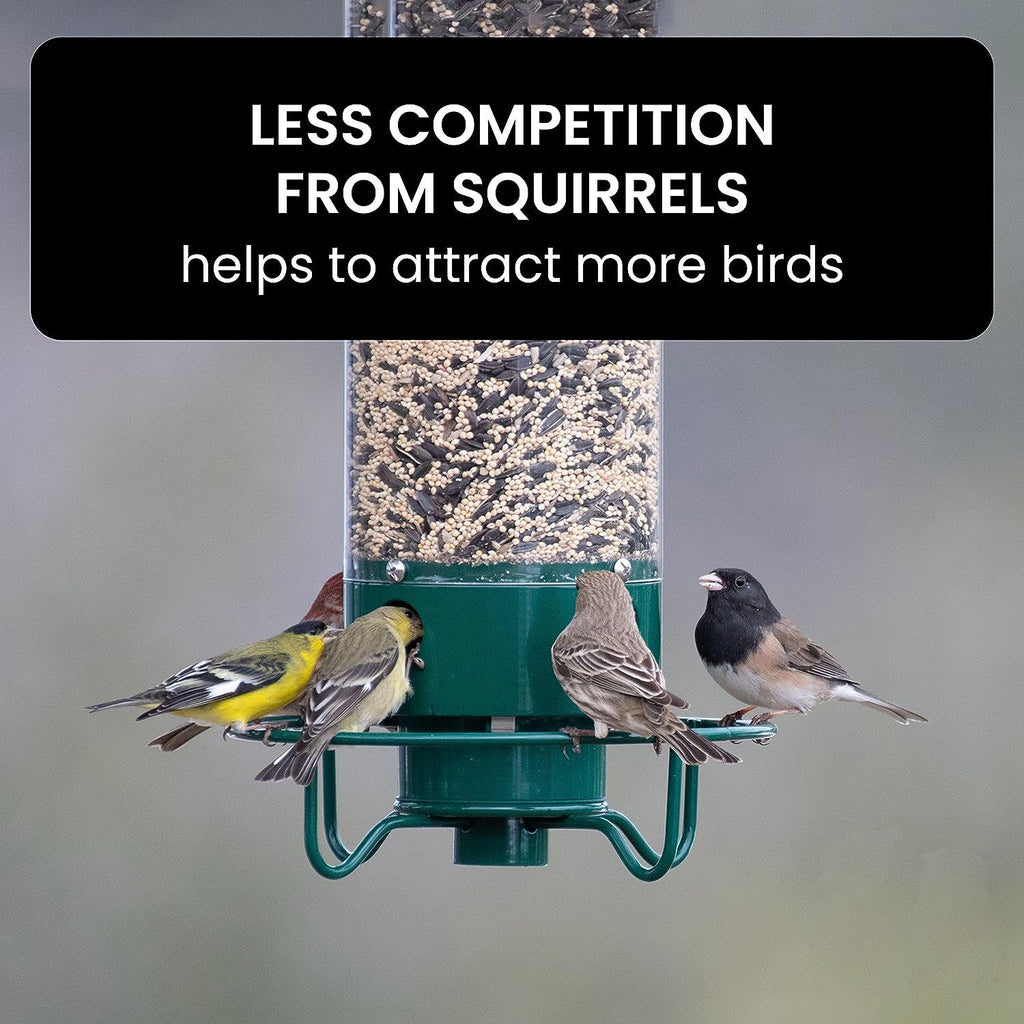 Comedero para Aves a Prueba de Ardillas