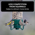 Comedero para Aves a Prueba de Ardillas