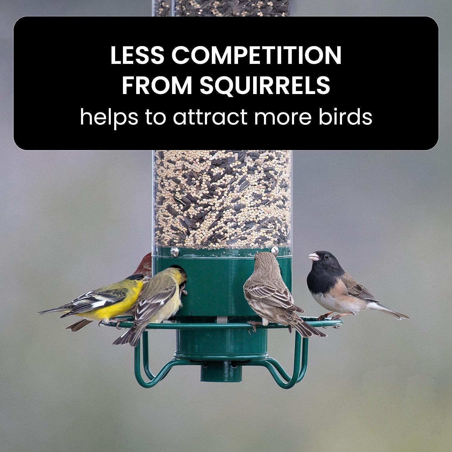 Comedero para Aves a Prueba de Ardillas