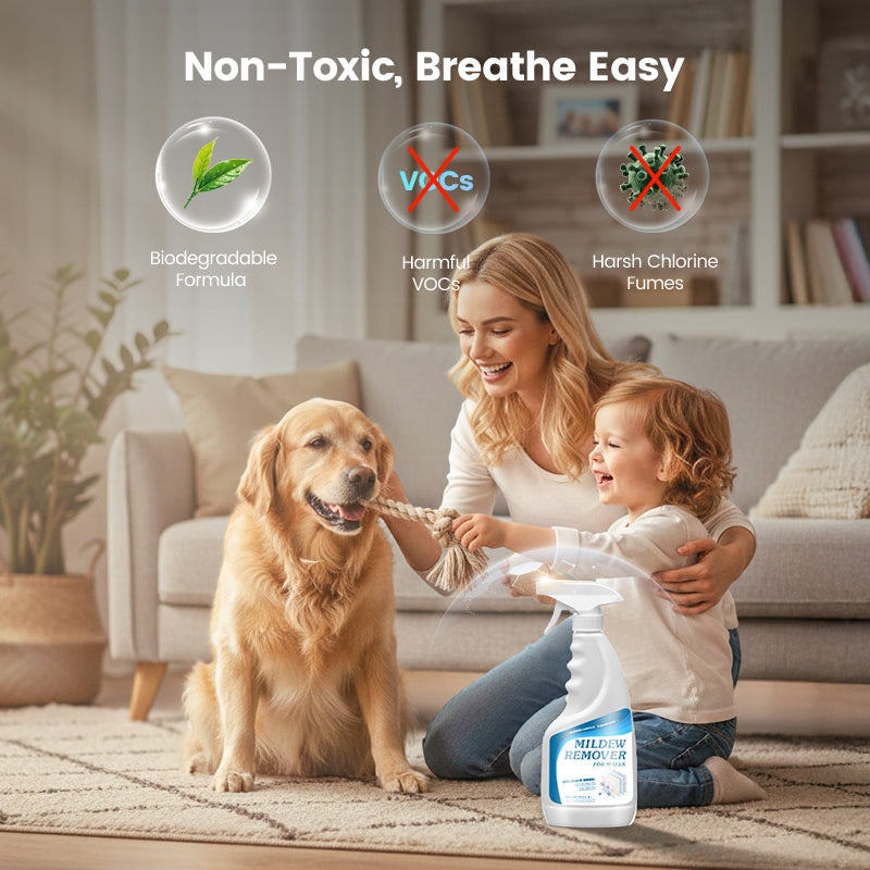 HealthyHome – Eliminación de moho sin esfuerzo 500ml | 50% DESCUENTO