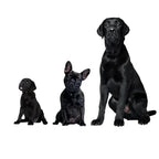 Lisslune | Repelente Ultrasonido para Perros – Dispositivo de Entrenamiento Anti-Ladrido Recargable por USB para Todas las Razas
