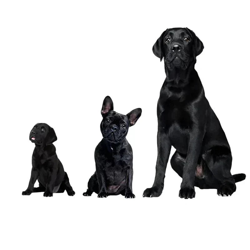 Lisslune | Repelente Ultrasonido para Perros – Dispositivo de Entrenamiento Anti-Ladrido Recargable por USB para Todas las Razas