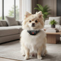 BARKCALM MINI – Collier anti-aboiement doux avec son & vibration pour petits chiens