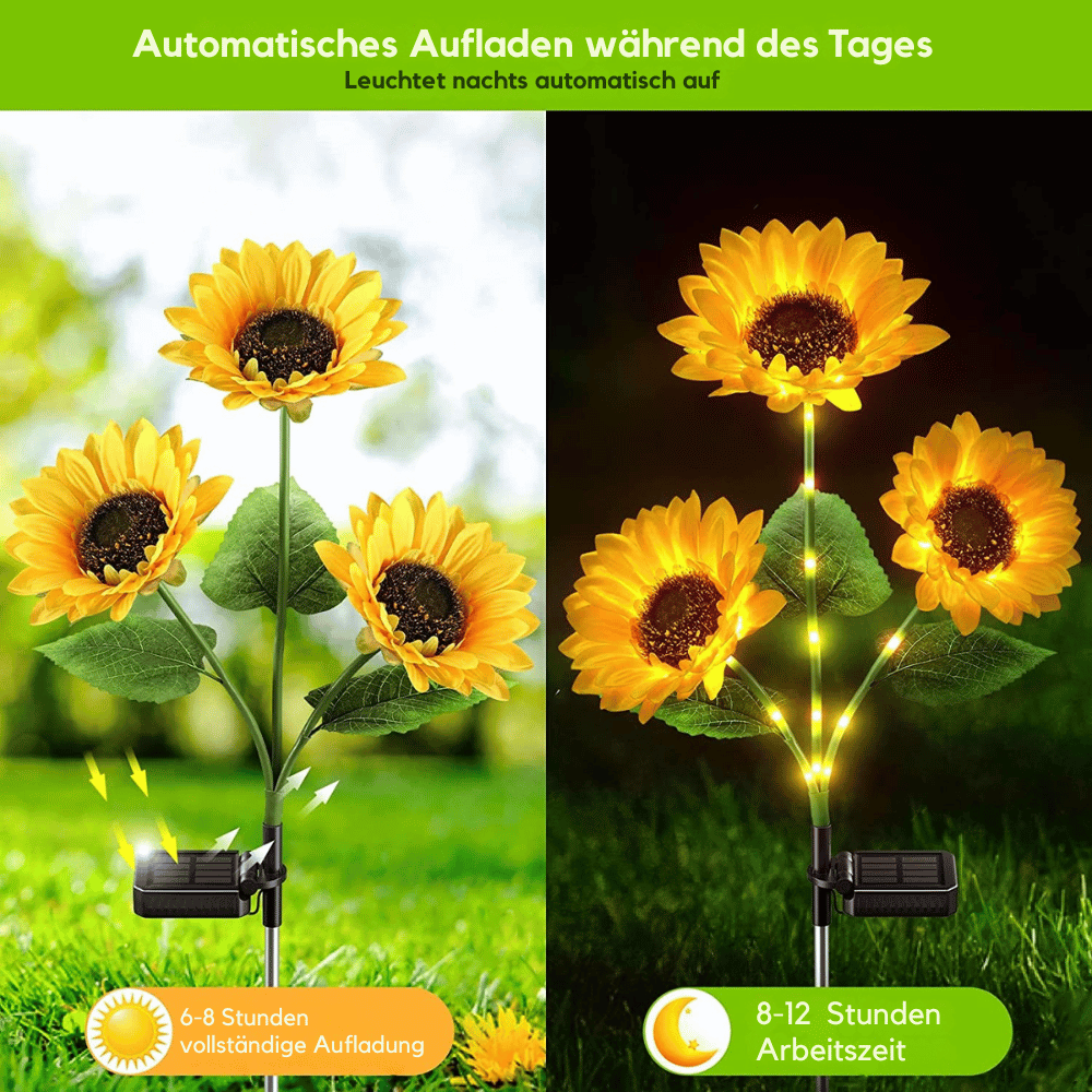 SunGlow — Lámparas de girasol solar | 50% DESCUENTO