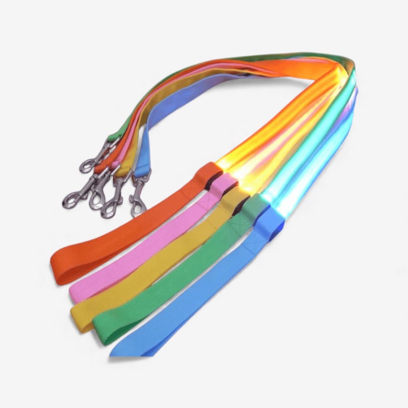 LumaPaw – Correa de perro LED recargable por USB con tira reflectante