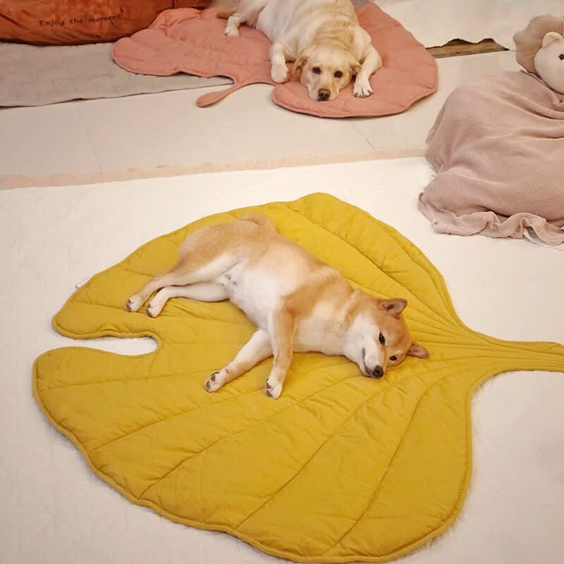 Lisslune | Manta para perros en forma de hoja para comodidad y estilo en el hogar