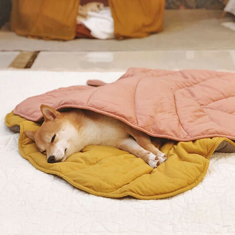 Lisslune | Manta para perros en forma de hoja para comodidad y estilo en el hogar