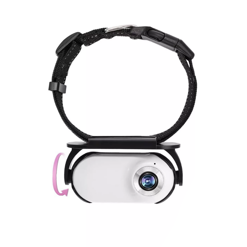 Cámara miniatura para collar de gato – Vista inmersiva de 360°