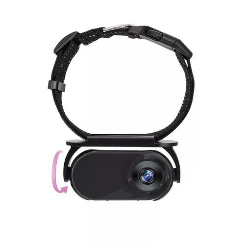 Cámara miniatura para collar de gato – Vista inmersiva de 360°