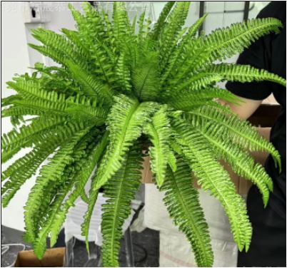 Kalsten | Helecho de Boston Artificial Realista y Resistente a UV