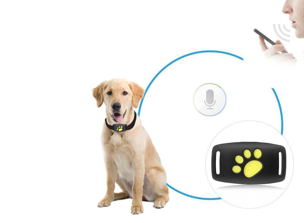 Sistema de Localización para Gatos – Dispositivo de Localización en Tiempo Real Sin Suscripción