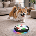 CHASESPARK – Pelota interactiva para perros con movimientos impredecibles