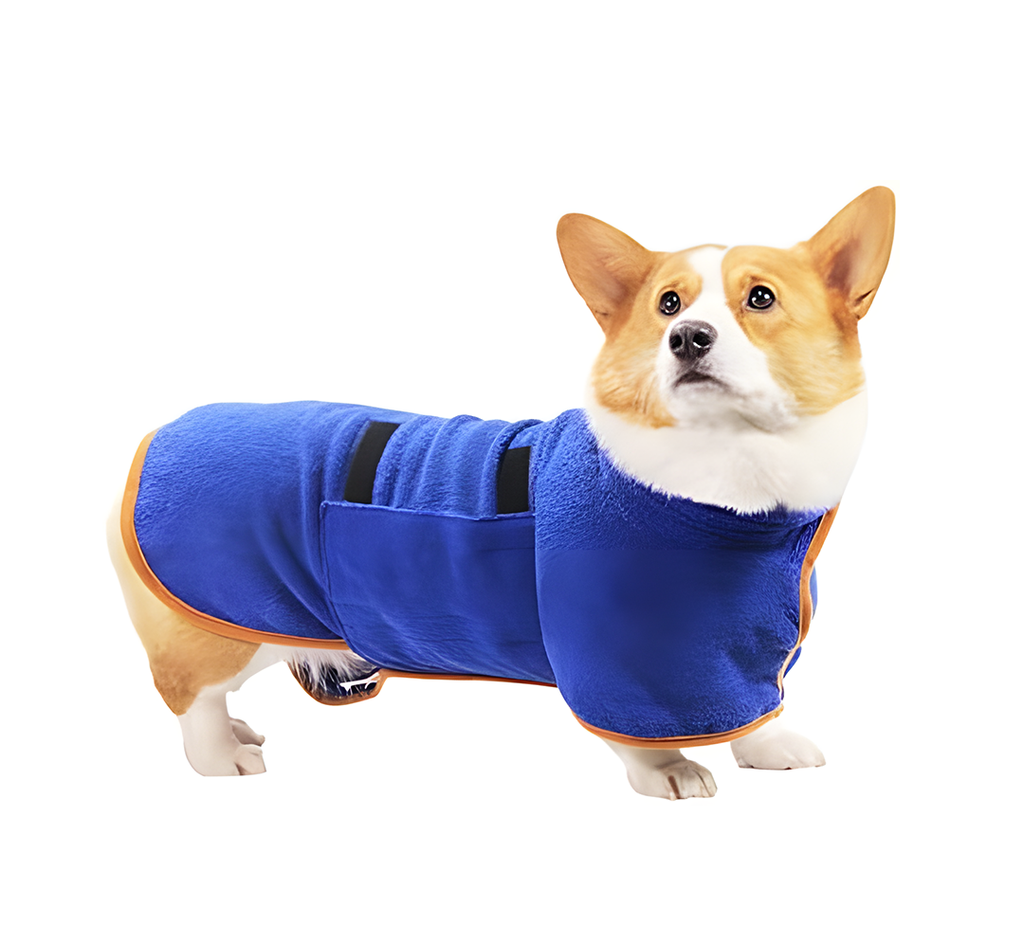 Bañador absorbente para perro