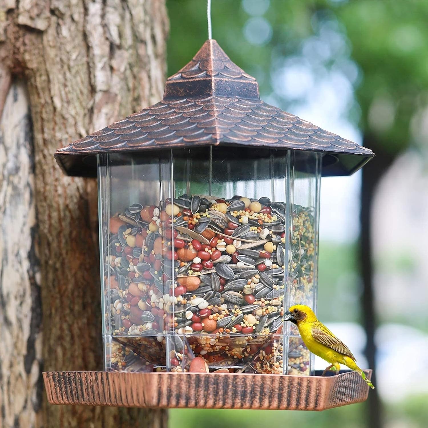 Kalsten | Comedero para Aves Colgante con Techo de Cobre para Exteriores