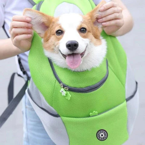 PetBuddy – Bolsa de perro cómoda para aventuras seguras | 50% DESCUENTO