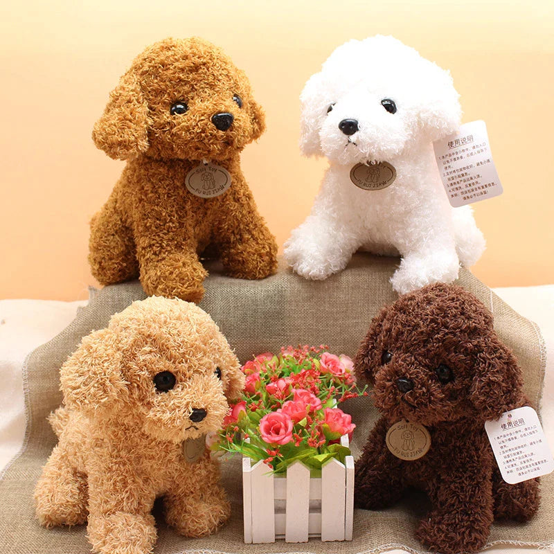 PetFreund™ Una verdadera mascota