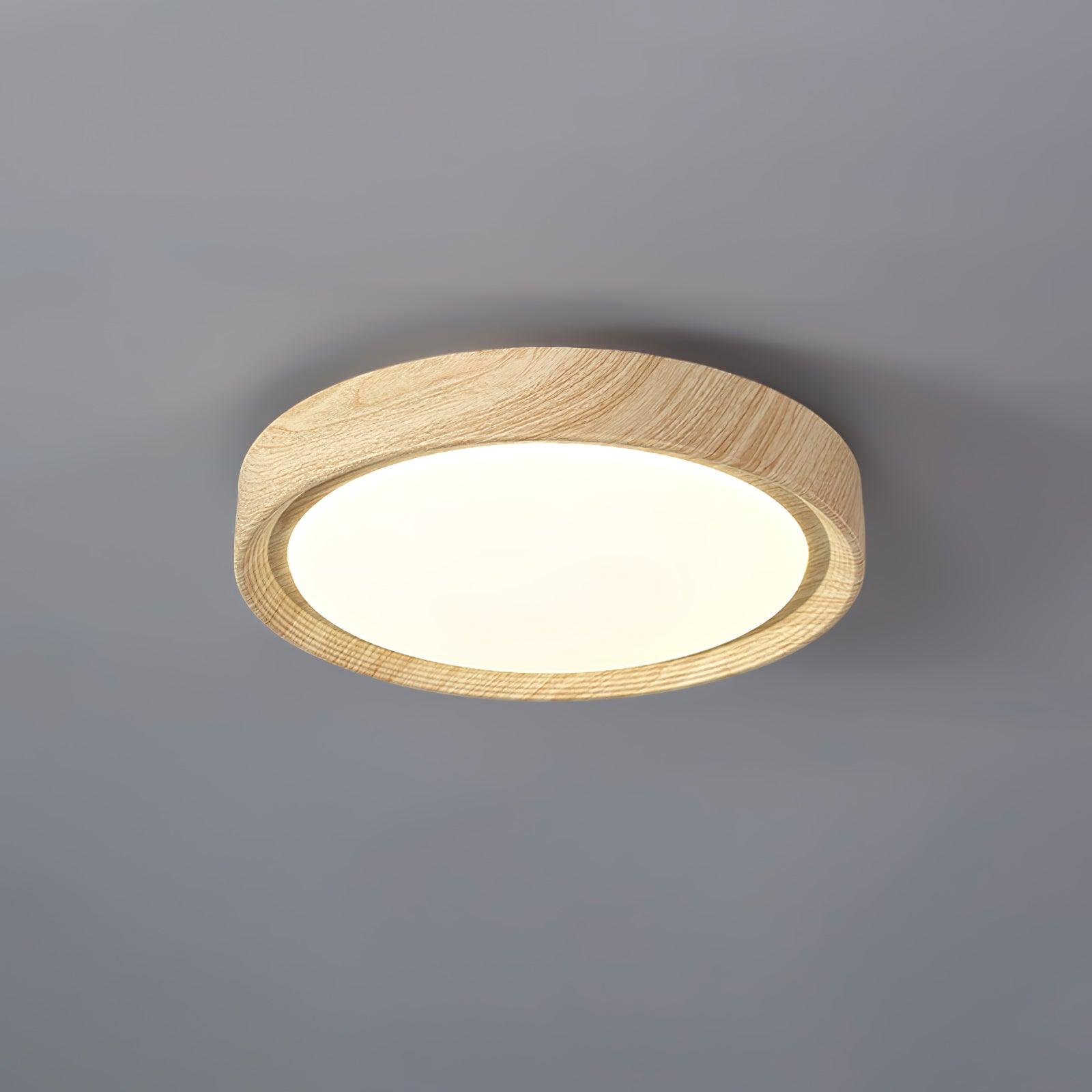 Elara Haus Lámpara de Techo Empotrada - Lámpara de Techo LED Dimmable de Metal y Acrílico