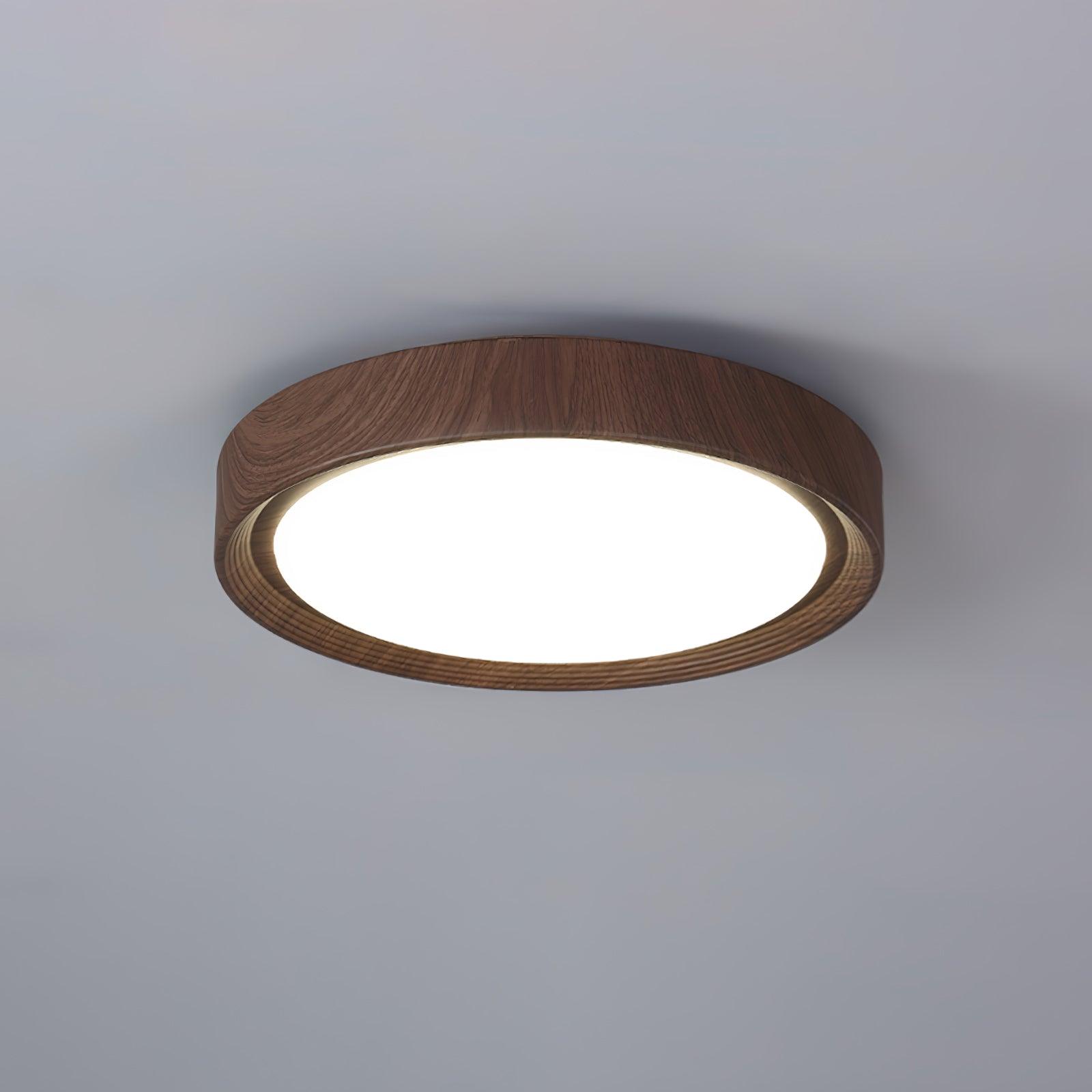 Elara Haus Lámpara de Techo Empotrada - Lámpara de Techo LED Dimmable de Metal y Acrílico