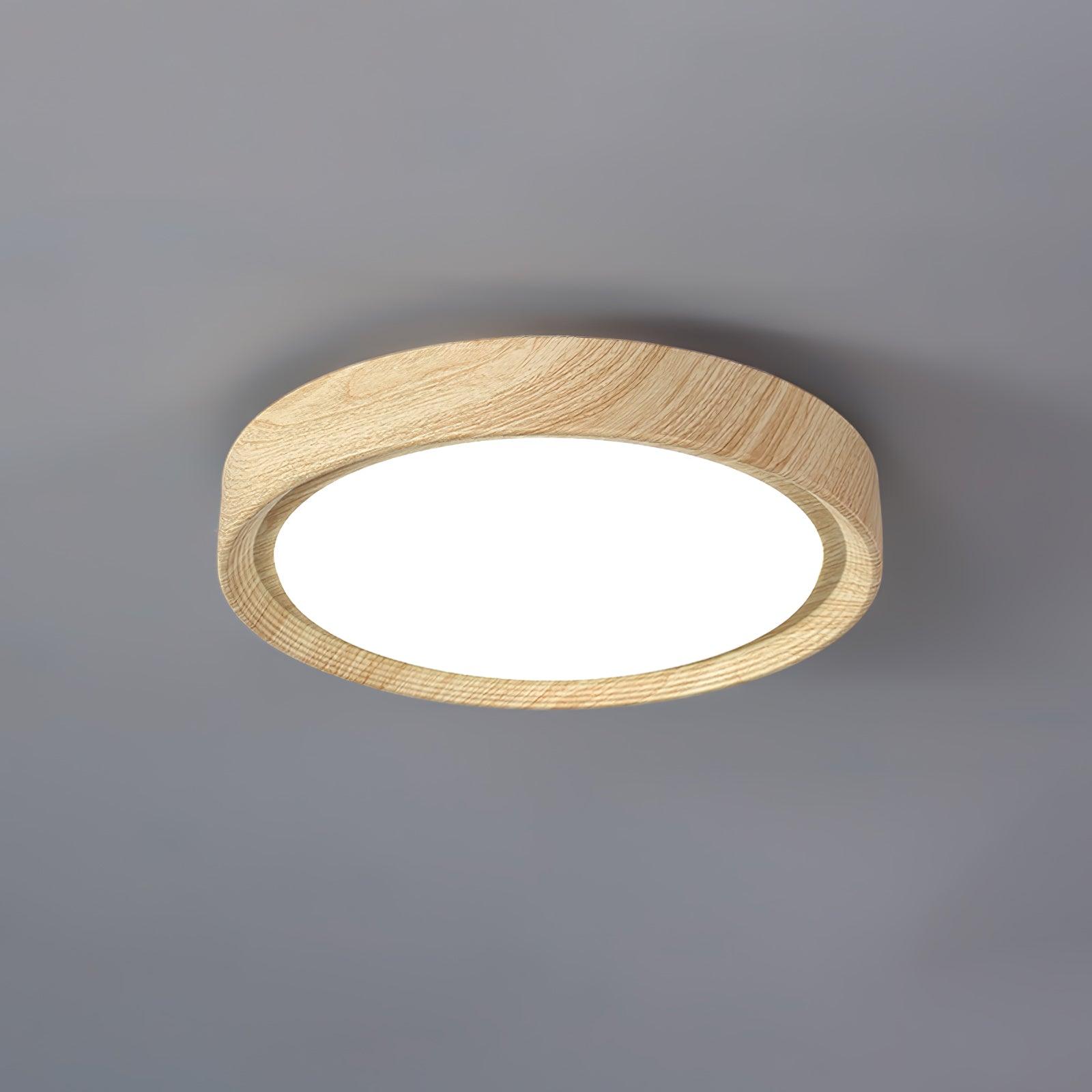 Elara Haus Lámpara de Techo Empotrada - Lámpara de Techo LED Dimmable de Metal y Acrílico