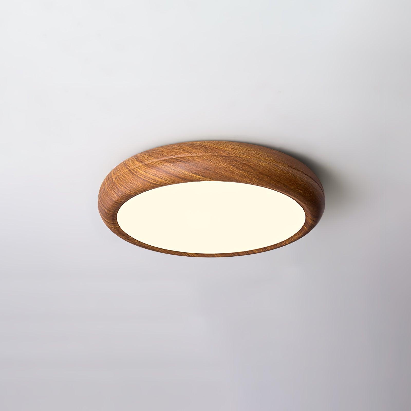 Elara Haus Lámpara de Techo Empotrada - Lámpara de Techo LED Dimmable de Metal y Acrílico