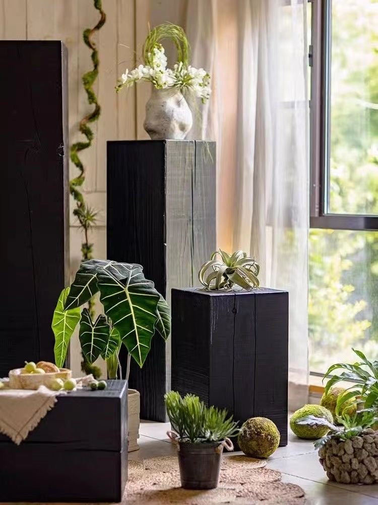 Soporte Pedestal Escultural de Madera Carbonizada Elara Haus