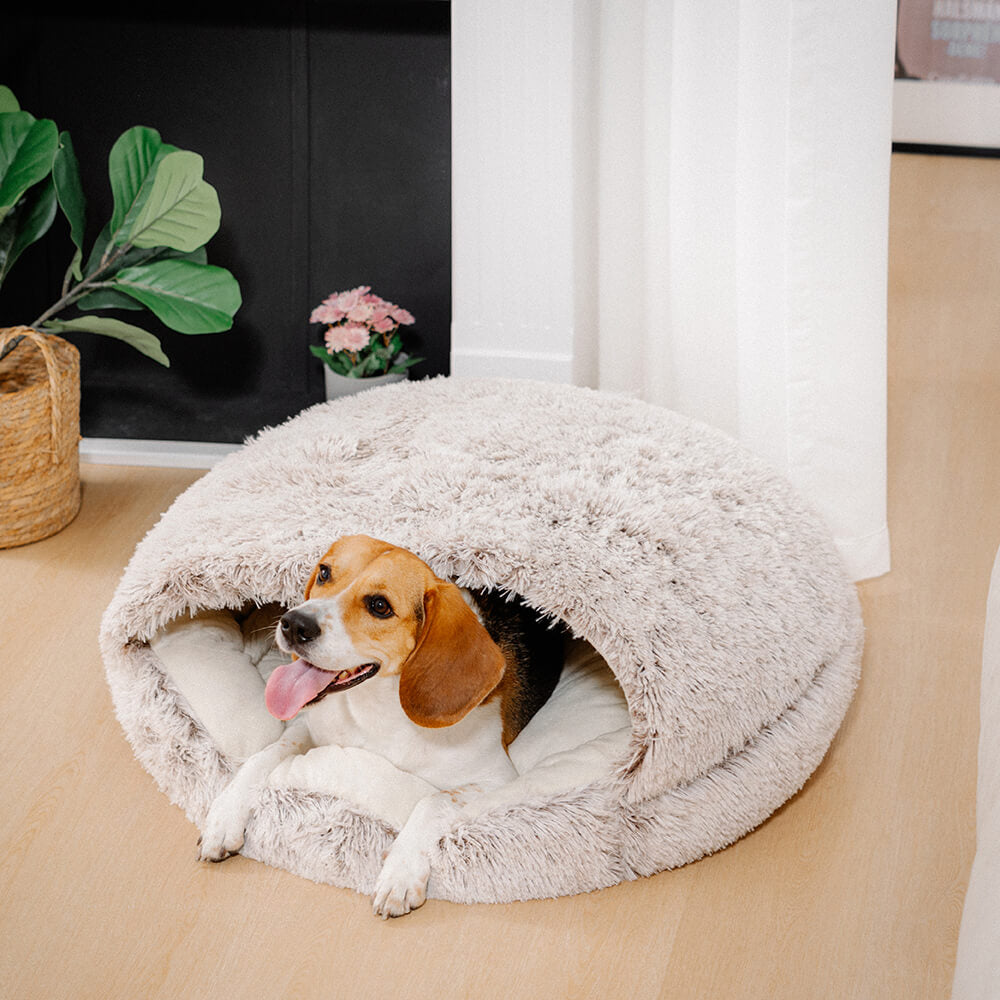 Cama para Mascotas Semi-Cerrada Mysig & Segura de Tela de Algodón Suave