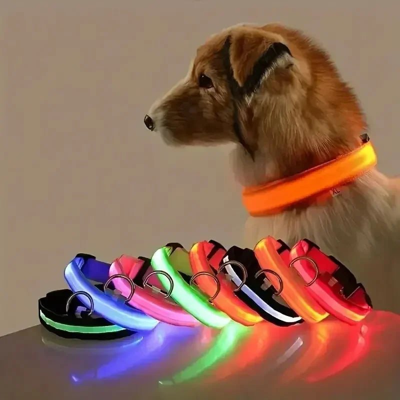 Collar de Seguridad LED para Perros con Ajuste Ajustable