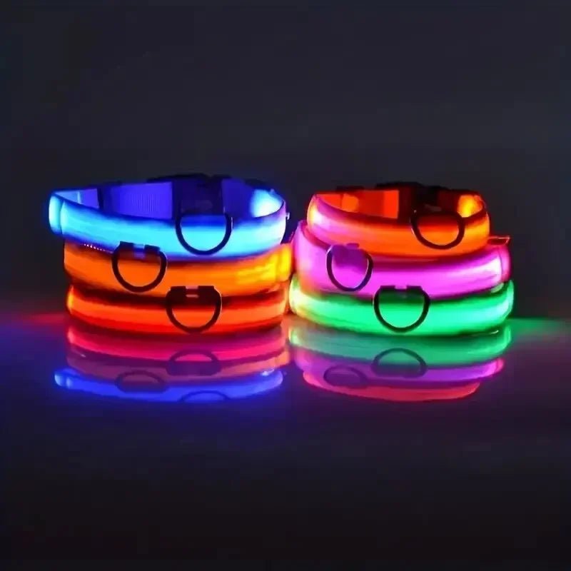 Collar de Seguridad LED para Perros con Ajuste Ajustable