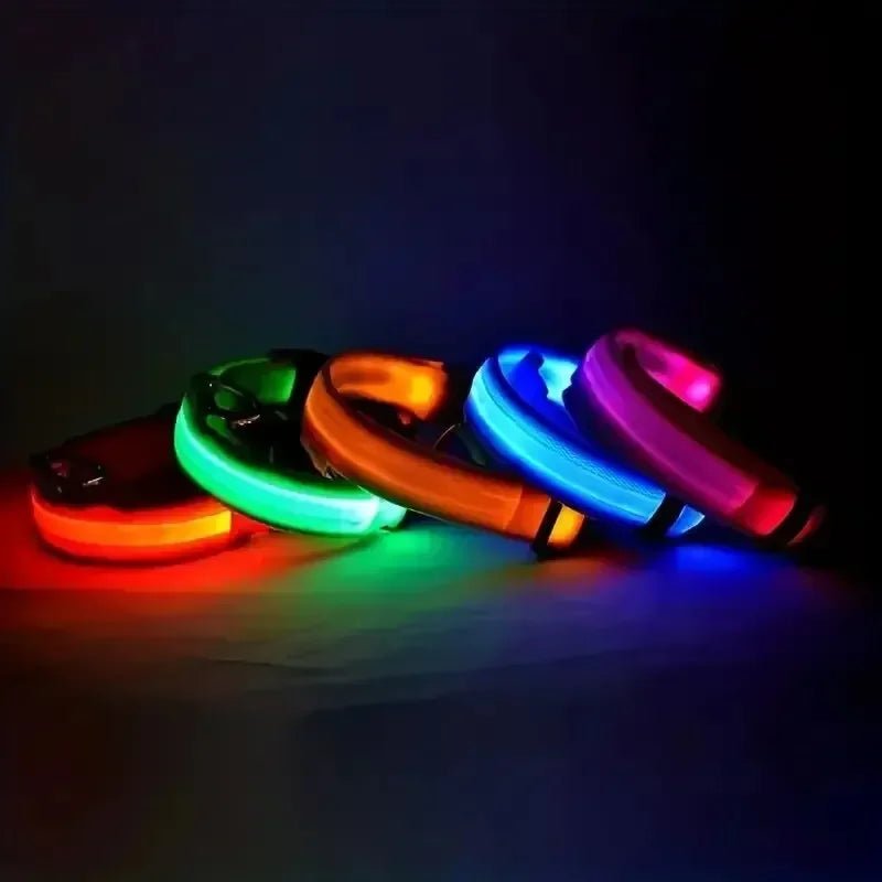 Collar de Seguridad LED para Perros con Ajuste Ajustable