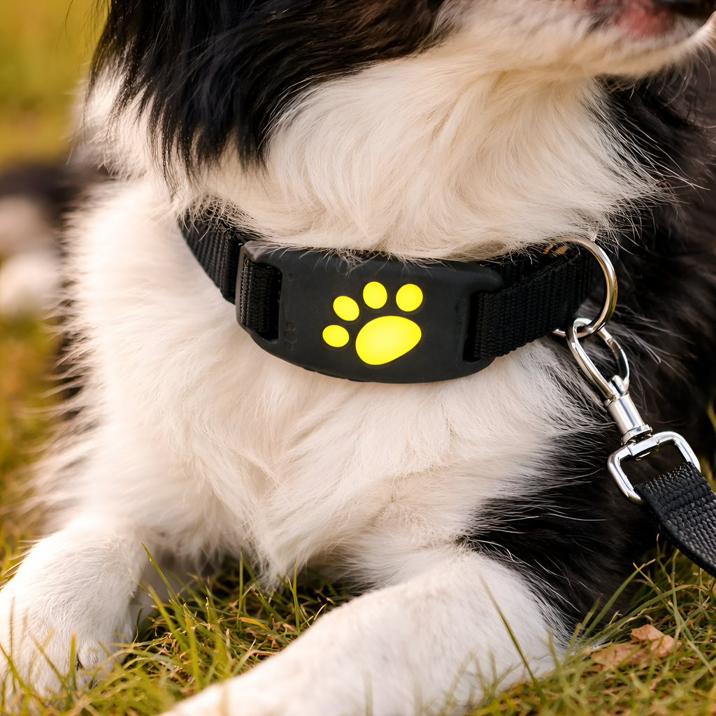 Elton - Rastreador GPS para Mascotas