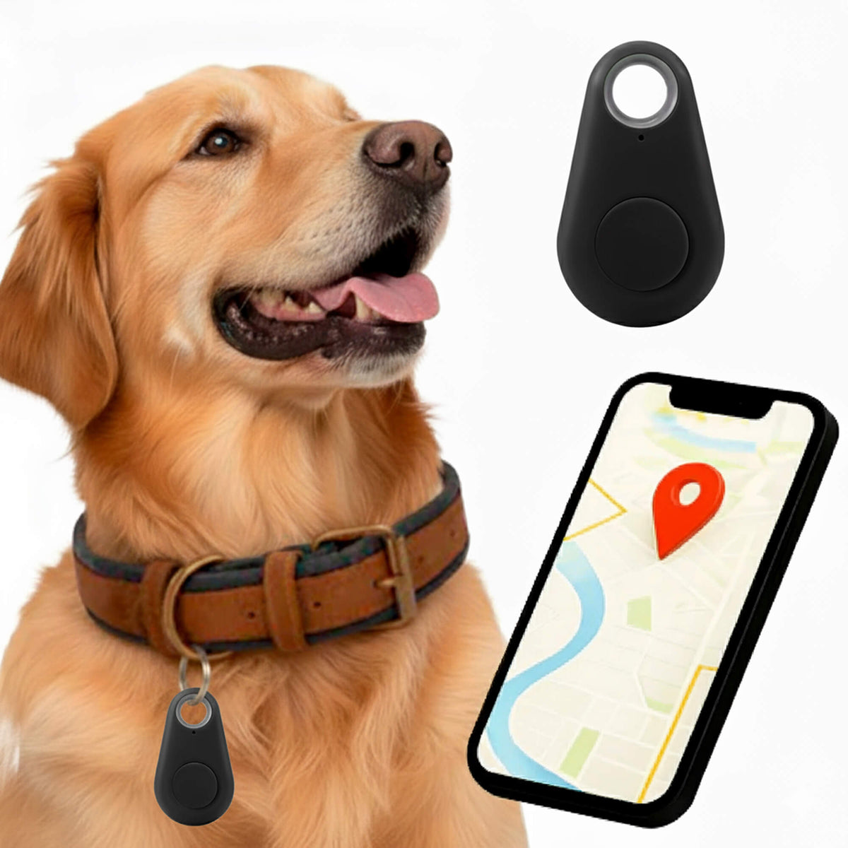 Kirra GPS Rastreador de Perros Impermeable con Actualizaciones de Ubicación en Vivo
