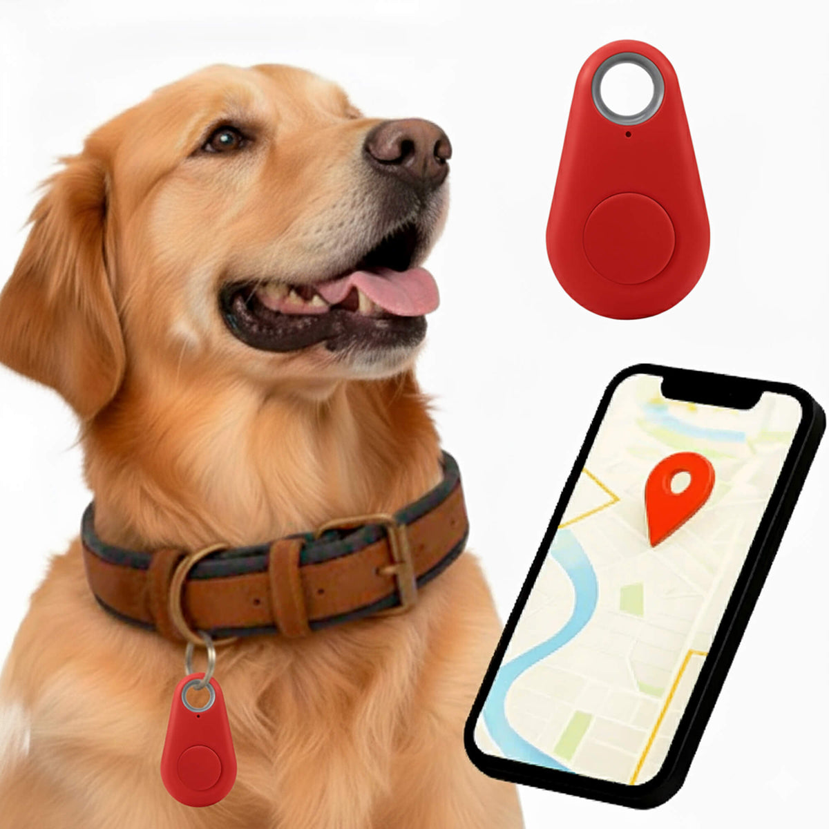 Kirra GPS Rastreador de Perros Impermeable con Actualizaciones de Ubicación en Vivo