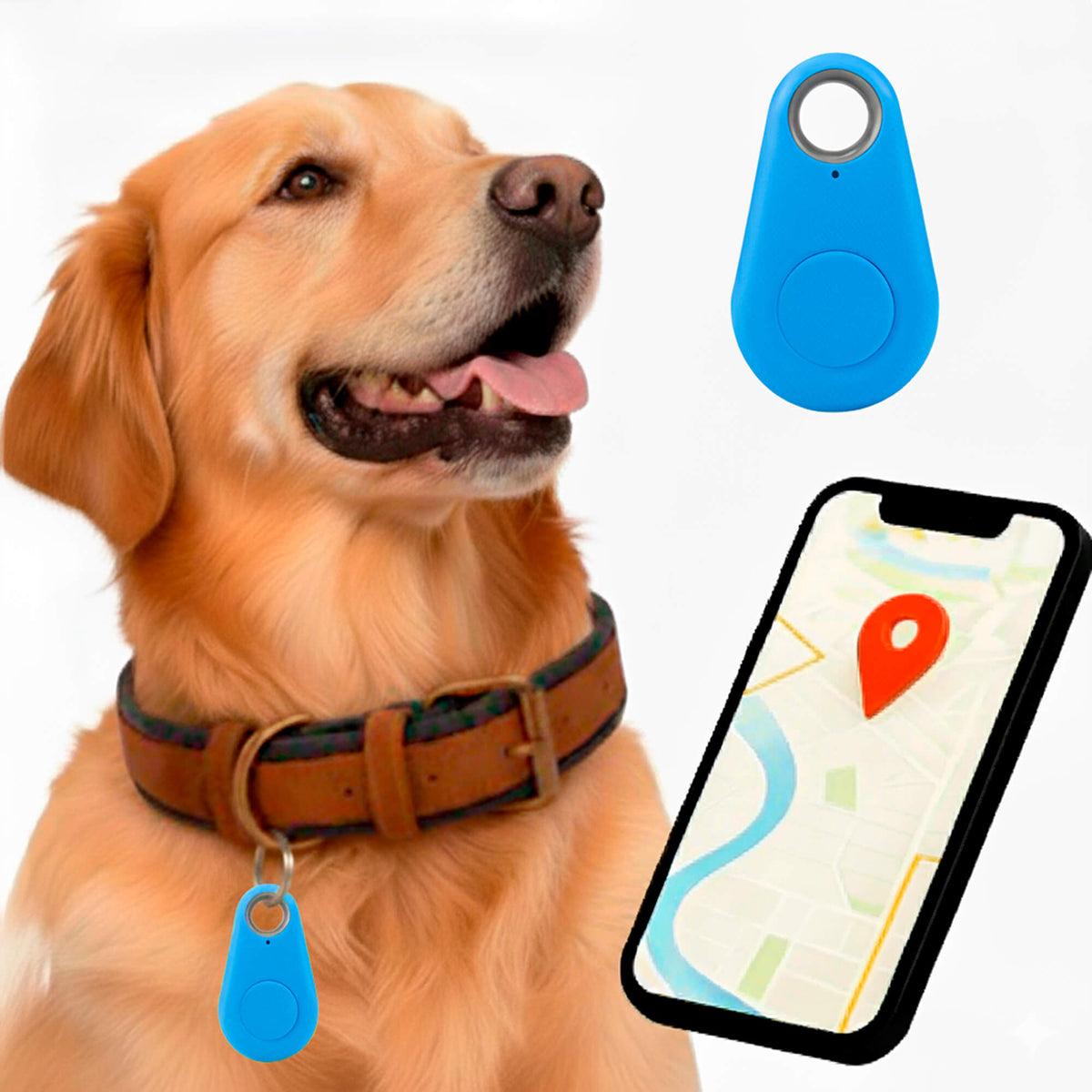 Kirra GPS Rastreador de Perros Impermeable con Actualizaciones de Ubicación en Vivo