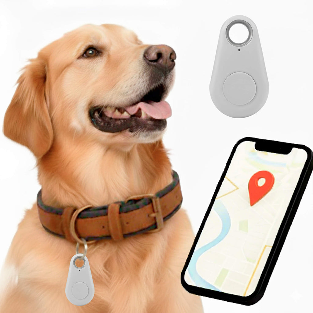 Kirra GPS Rastreador de Perros Impermeable con Actualizaciones de Ubicación en Vivo