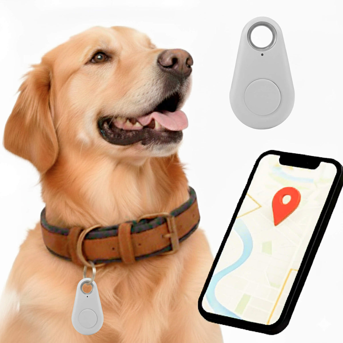 Kirra GPS Rastreador de Perros Impermeable con Actualizaciones de Ubicación en Vivo
