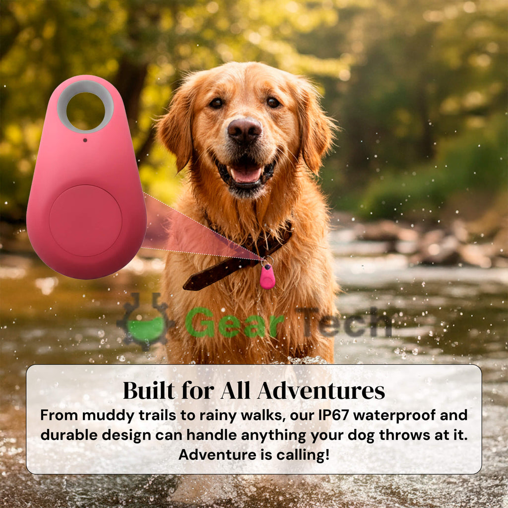 Kirra GPS Rastreador de Perros Impermeable con Actualizaciones de Ubicación en Vivo