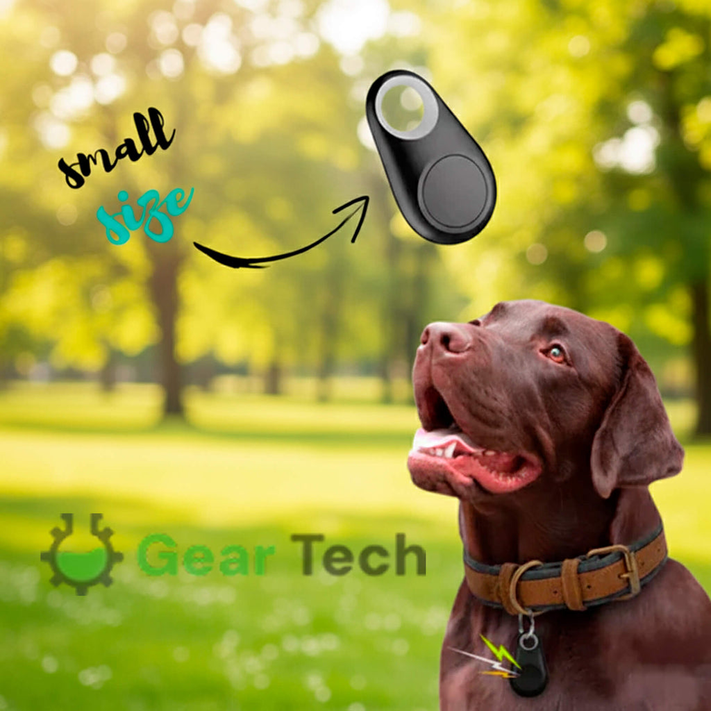 Kirra GPS Rastreador de Perros Impermeable con Actualizaciones de Ubicación en Vivo