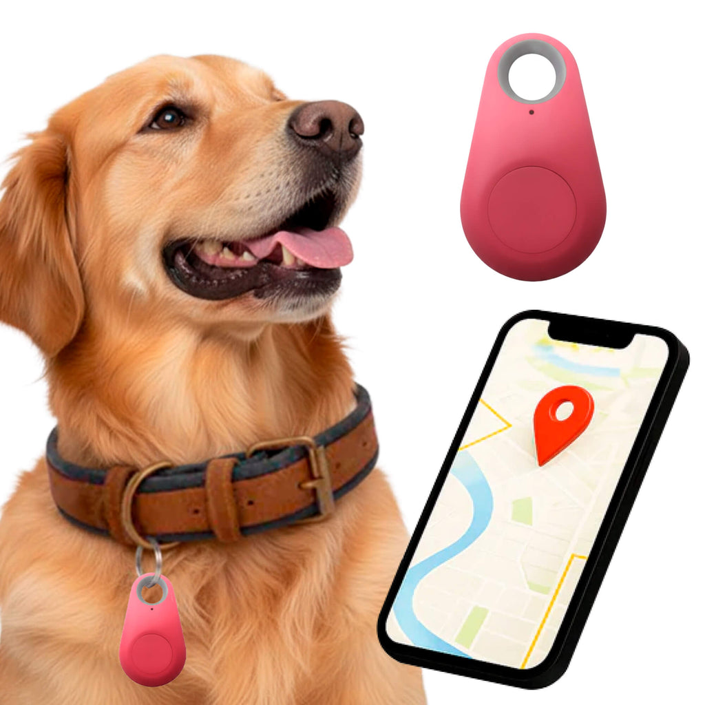 Kirra GPS Rastreador de Perros Impermeable con Actualizaciones de Ubicación en Vivo