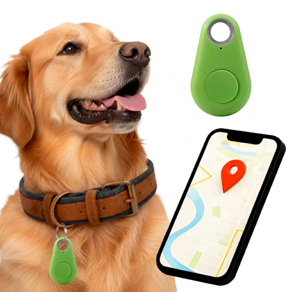 Kirra GPS Rastreador de Perros Impermeable con Actualizaciones de Ubicación en Vivo