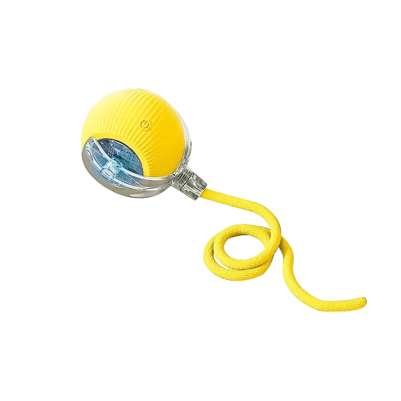PLAYPET Pelota Interactiva para Perros – Pelota Rebotadora Recargable