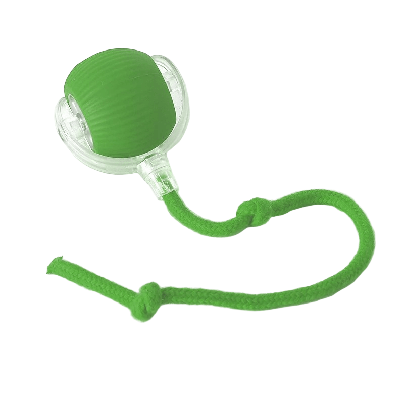 PLAYPET Pelota Interactiva para Perros – Pelota Rebotadora Recargable