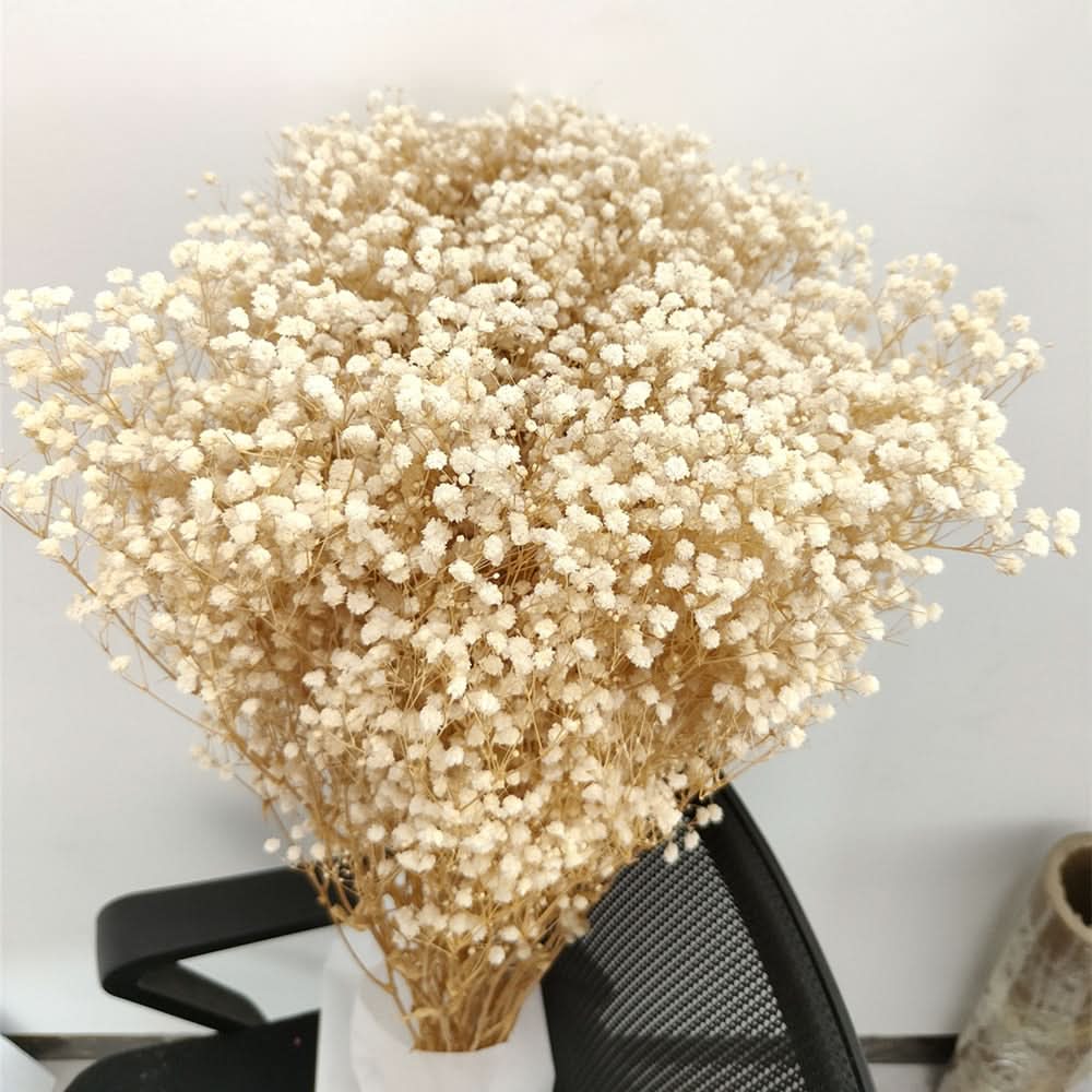 Kalsten | Ramo de Flores de Gypsophila Secas y Conservadas – Decoración Natural